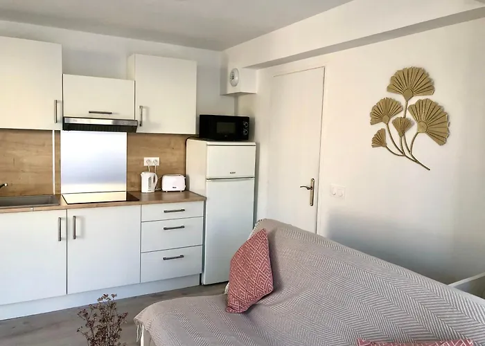 La Rocaille Du Chateau Appartamento *